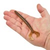 Berkley Powerbait Speed Boss Fishing Soft Bait, Swamp Gas, 5