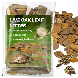 MAQIHAN 4.9 OZ Dry Oak Leaf Litter - Leaf Litter for Reptiles Leaf Litter Oak Leaves Leaf Litter for Isopods Substrate Leaf Live Oak Leaf for Snakes; Frogs; Isopods; Terrarium Bedding