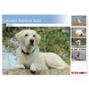Labrador Retriever 2022 (Monthly Wall Calendar 2025 11.7" x 16.5"