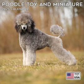 2025 Toy Poodle Calendar - Dog Breed Wall Calendar - 12 x 24 Open - Thick No-Bleed Paper - 14 Month Planner Calendar Organizing & Planning