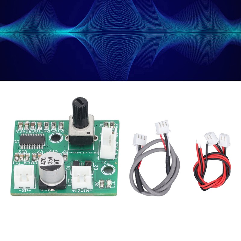 60W Mini Mono High Power Amplifier Module HIFI Digital Small