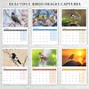 British Birds Calendar 2025 A4 12 Months 2025 Calendar Wall