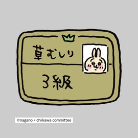 Chara Pitta CK-A-202307-mi11 Iron Print Sheet, Chiikawa, Mini 11 (Size Approx. 2.6 x 2.6 inches (65 x 65 mm))