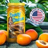 Saucy Susan Peach Apricot ORIGINAL Sauce 9.5 oz Jar –