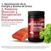 Multivitamínico para Hombre con L-Carnitina, Creatina, Magnesio, Zinc, Potasio y