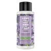 Love Beauty and Planet Shampoo for Unisex, Argan Oil and