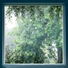 GORGECRAFT 45.6x11.8 Inch Large Hanging Window Clings Vine Window Decals