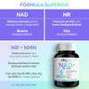 Nad Trans Resveratrol Combinación Superior Nmn Nicotinamida Ribosa Fortalecido Ingredientes