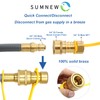 24 Feet 1/2-Inch ID Natural Gas Hose with Quick Connect