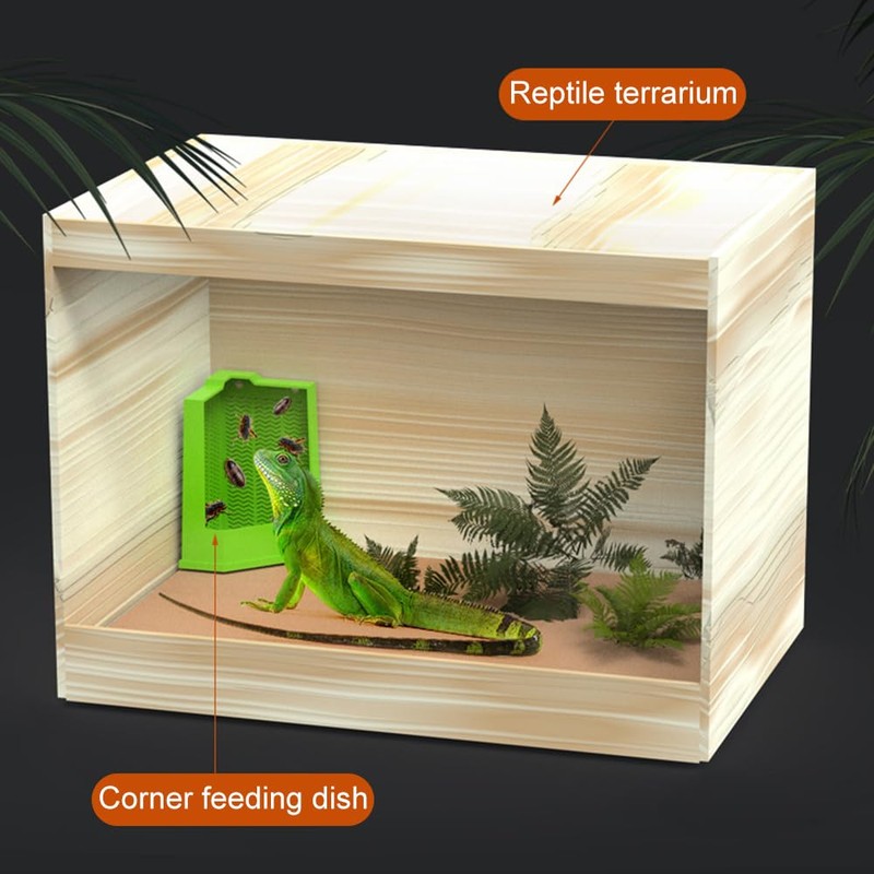DONGKER Bearded Dragon Feeder,Anti-Escape Lizard Corner Terrarium Bowl with Suction