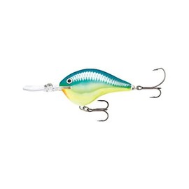 Rapala Ike's Custom Ink Crankbait (Caribbean Shad, DT06 - 2")