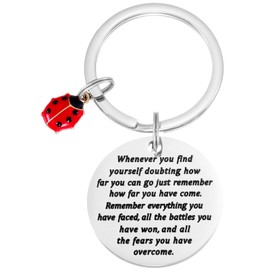 Kivosliviz Ladybug Keychain for Women Men Inspirational Miraculous Lady Bug Birthday Good Luck Jewelry Ladybug Keychains