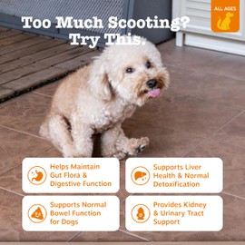 Zesty Paws Scoot Away Soft Chews - Healthy Bowel Function with Bromelain, Vita Fiber for Dogs, & Dandelion Root for Dog Digestive Support and Gut Health - 90 Soft Chews