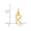 Bonyak Jewelry Small Slanted Block Letter R Initial Charm in