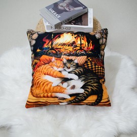 DILOXNSU Cat Gift Cushion Covers 45 x 45 cm Snuggle Sleeping Cat Double-Sided Decorative Pillows Covers for Sofa Livingroom Bed Home Outdoor Garden Decor Cushions Covers 18 x 18 inch