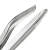 Takagi Stainless Steel Garlic Press, Small