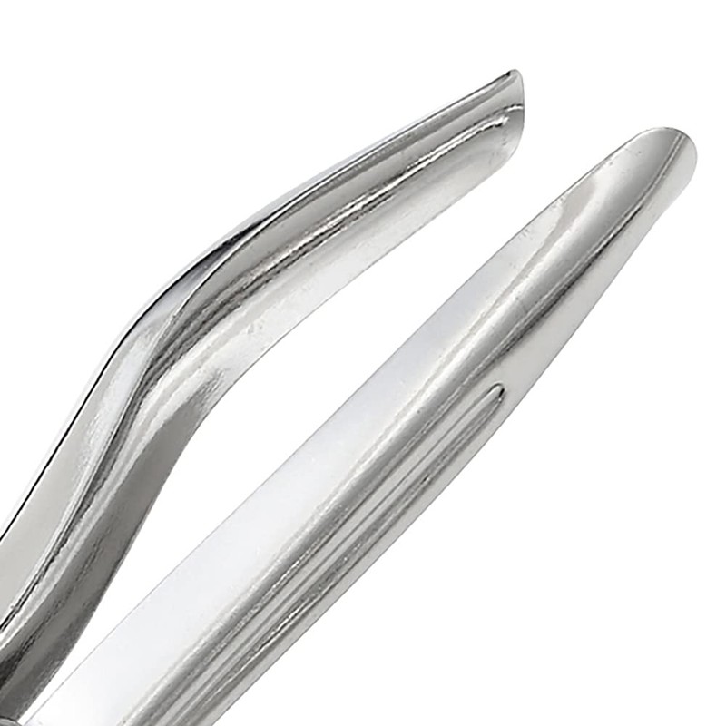 Takagi Stainless Steel Garlic Press, Small
