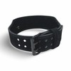BEAR GRIP - Premium Suede Double Prong Weight Lifting Belt