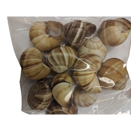 Premium Escargot Wild Burgundy Snails – Rated Number One – Best For Escargot Recipes, Various Sizes … (1 Dozen Shells)