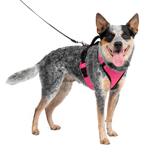 PetSafe EasySport Dog Harness, Adjustable Padded Dog Harness with Control Handle and Reflective Piping, From the Makers of the Easy Walk Harness,Pink,Medium
