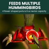 Perky-Pet 203CPBN Glass Hummingbird Feeder for Outdoors with Perches, Ant