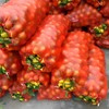 Onions Fresh Mesh Bag 10 Pcs, 20" x31" Potato Storage