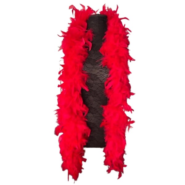 Katie's Secret Feather Boa | Harry Styles Merch | Feathers | Pink Feather Boa | White Feather Boa | Abba Fancy Dress Costumes for Women | Pride Dress | Feather Boas | Grey Feather Boa | RED