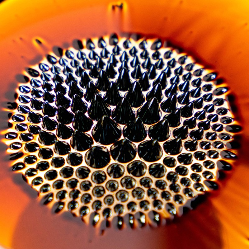 Ferrofluid (magnets4you) Liquid Iron, Magnetic Liquid for Illustrating Magnetic Field