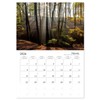 Wonderful World - Forests (Monthly Wall Calendar 2026 16.5" x