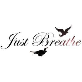 Vinyl Wall Decal Just breathe Quote Inspirational Words Motivational Yoga Center Meditation Room Stickers (4283ig) Black