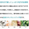 Cleansing of Skin 01 / 1.8 oz (50 g) Fresh