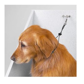 Grooming Loop Dog Groomers Restraint Cable Durable Adjustable Choose 15" or 19" (Set of Both Sizes)
