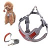 SKXEO Small Dog No Pull Harness and Lead Set -
