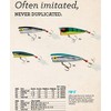 Rebel Lures P6503 Lures Magnum Pop R Fishing Lure (3-Inch,