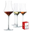 Spiegelau Willsberger Digestive Glasses Set of 4 - European-Made Crystal,