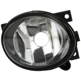 Dapa GmbH & Co. KG 190825019 Fog Lamp RH