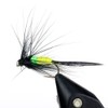 100pcs Fly Fishing Flies Kit Dry Wet Fly Fishing Flies