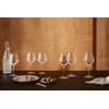 EVA-TRIO | Set of 6 Beautiful Legio Nova Red Wine