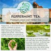 Peppermint Herbal Loose Leaf Tea - Pure Mint Leaves for