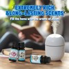 Salking Essential Oil Fresh Clean 12 x 10 ml -1
