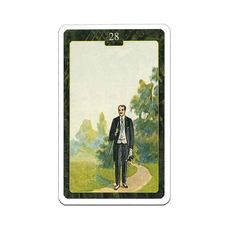 Renolman Cards, Divination Telling, 36 Cards, Oracle Cards, Japanese Instruction