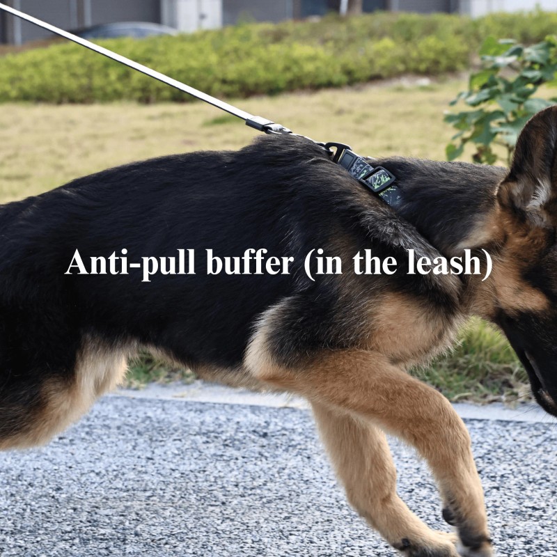 Waterproof Luxury Dog Collar and Leash Set, Heavy-Duty Luxury Pet