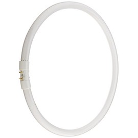 Bulbrite FC12T5 841 12-Watt Circline Fluorescent T5 Bulb, 800 Series, 4100-Kelvin, 2GX13 base, 12-Inch Diameter