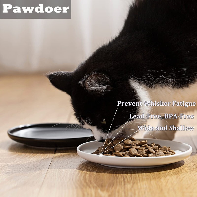 Pawdoer Ceramic Shallow Cat Dish 6 inch, Whisker Fatigue Free