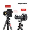 SUNWAYFOTO LS-75 75 mm Universal Swivel Cuff for DLSR Cameras,