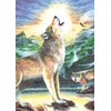 Mini Color Pencil By Number Kit 5"X7"-Wolf At Night12