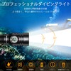 Wurkkos DL02 Diving Light, IPX8, 100 Meters Underwater Use, LED