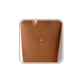 Atentuyi Dainty Gold Necklace for Women Birth Flower Necklace Wedding Choker Necklace Rose Flower Pendant Necklace Simple Thin Chain Necklace Flowers Necklace Boho Trendy Necklace Jewellery, Zinc, No