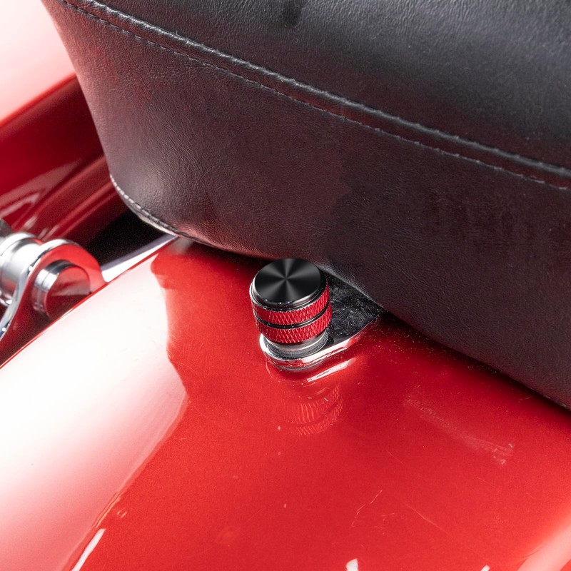 Wsays Seat Bolt Mount Screw Oxidized Black with Red 1/4"-20