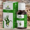 Destech Facial Oil Vitamin E Oil Turkish Eucalyptus Aroma Essential Oil Concentrated Liquid Lid Dropper Type Random Delivery 1 Piece 20ml / 데스텍 페이셜오일 비타민E오일 터키 유칼립투스 아로마 에센셜 오일 원액 뚜껑 스포이드 타입 랜덤발송 1개 20ml